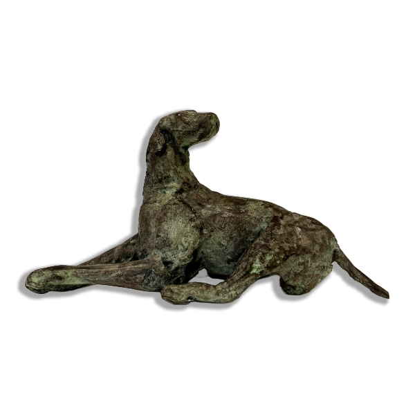 DESMARETS JAN - Hond